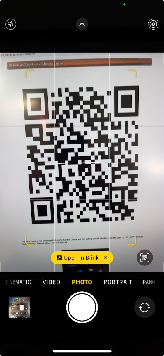 Screenshot of the Camera app on iOS with a QR code and 'Open in Blink' displayed