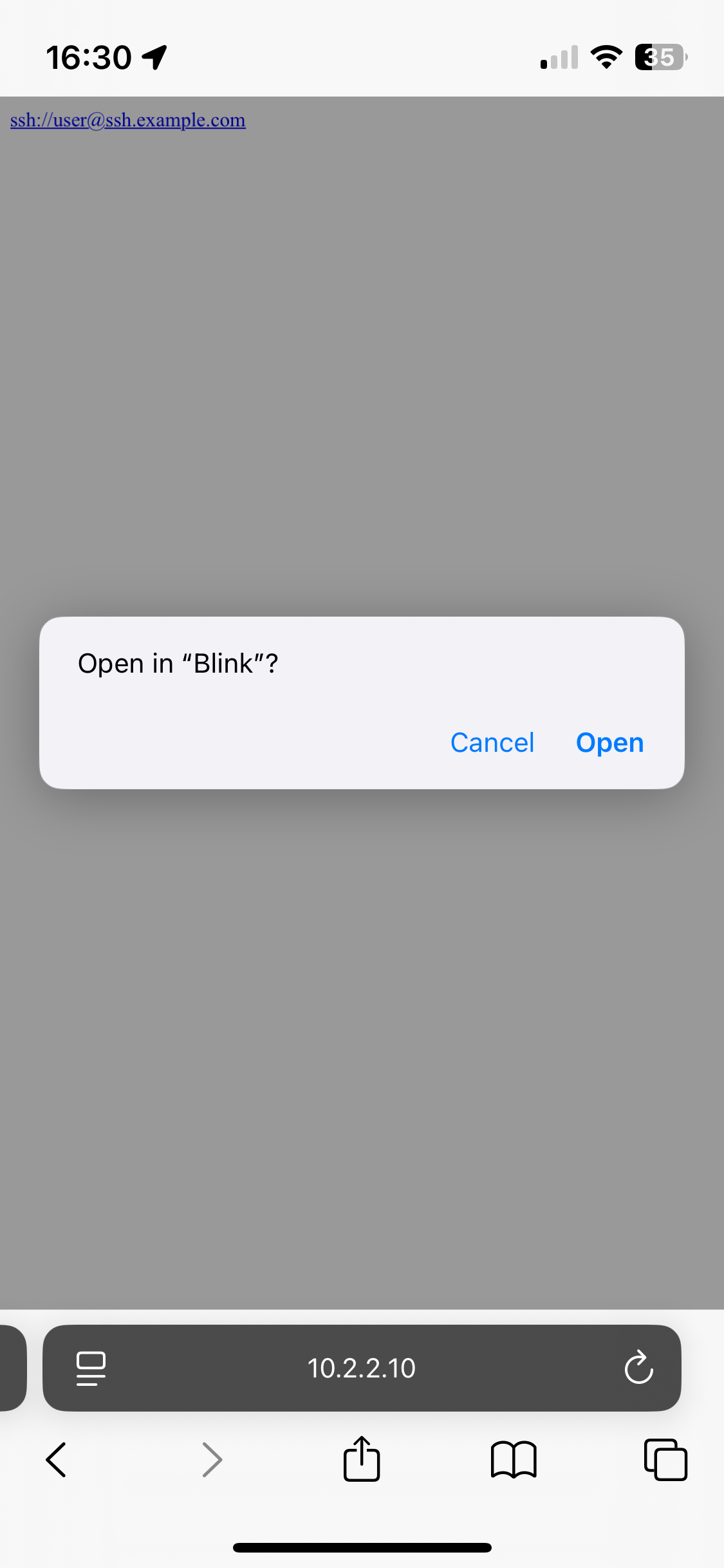 Screenshot of an iOS web browser UI with a popup dialog asking 'Open in Blink?'.